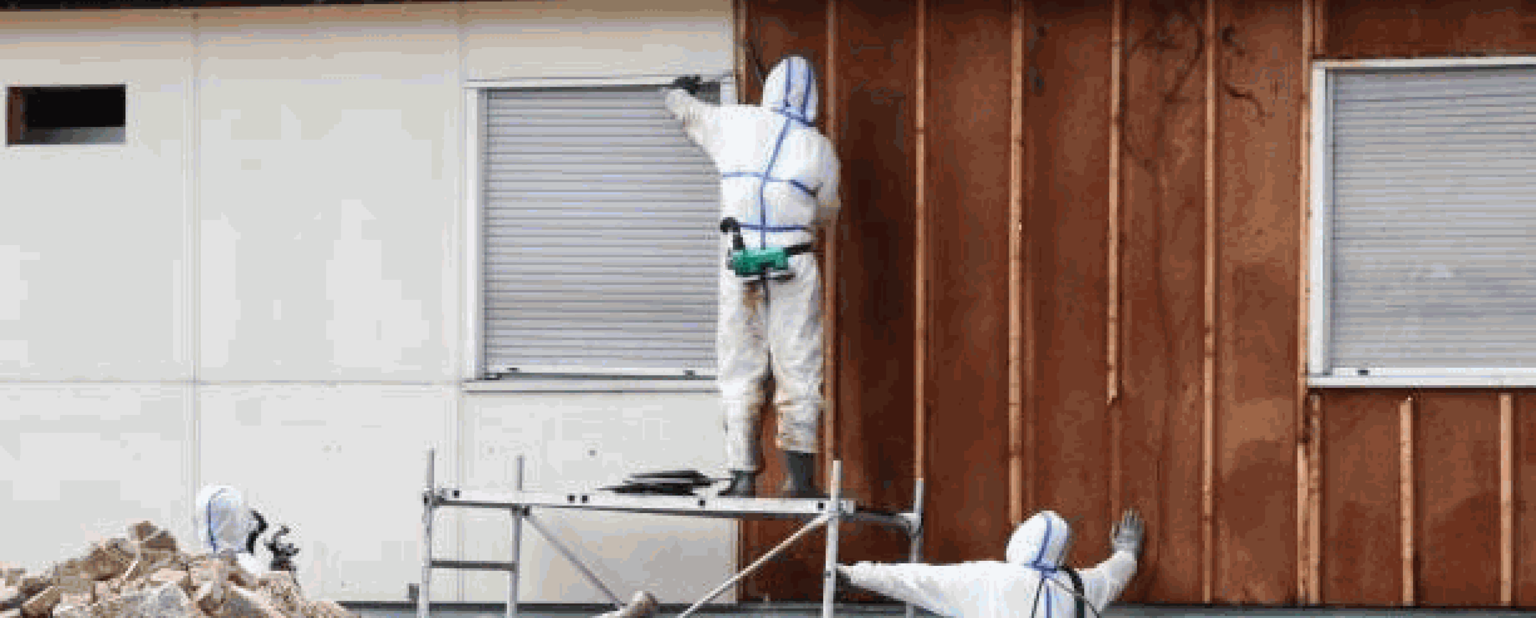 asbestos-removal-specialist