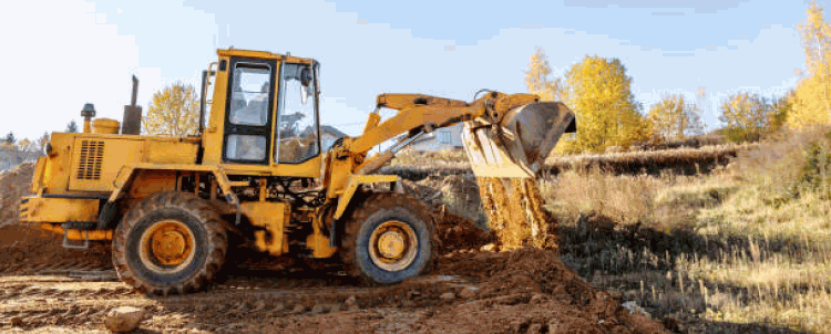 land-clearing-service-img