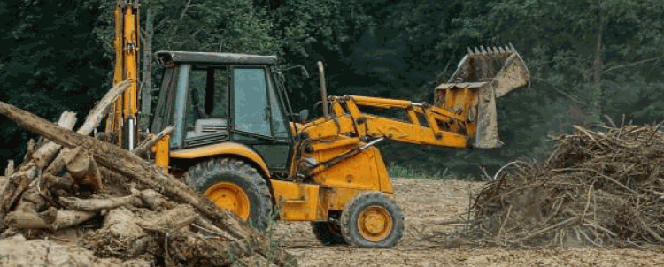 land-clearing-specialist-img